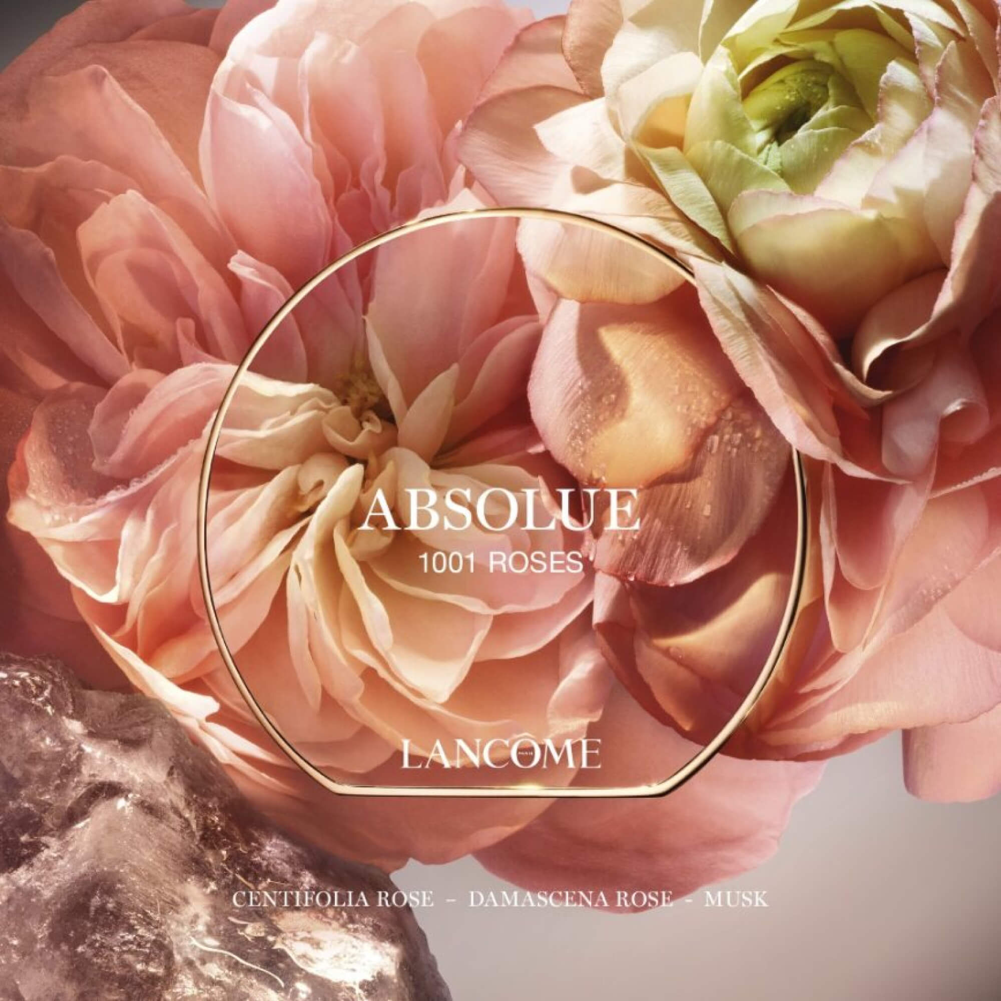 ABSOLUE 1001 ROSES