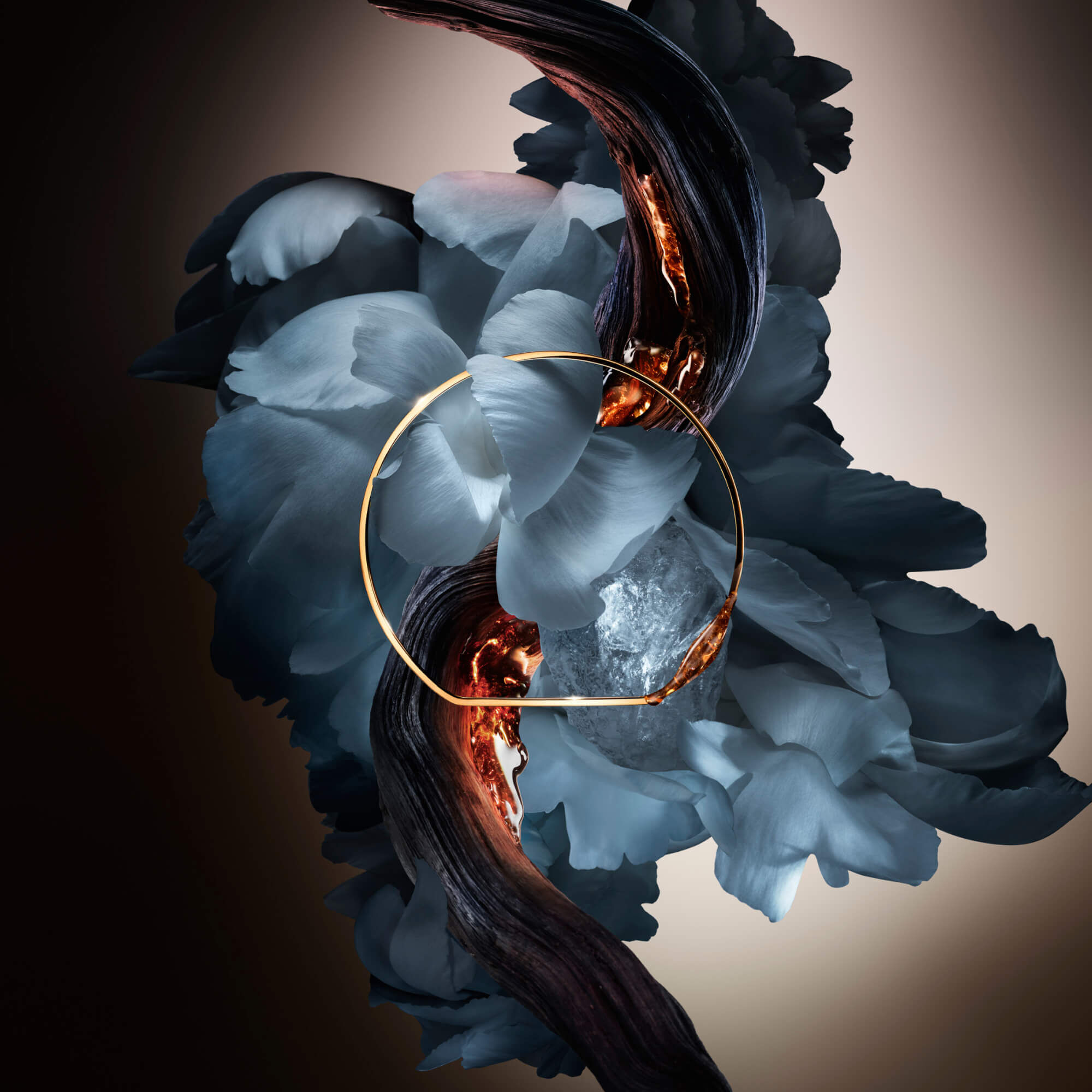 ABSOLUE ROSE FROM THE DARK