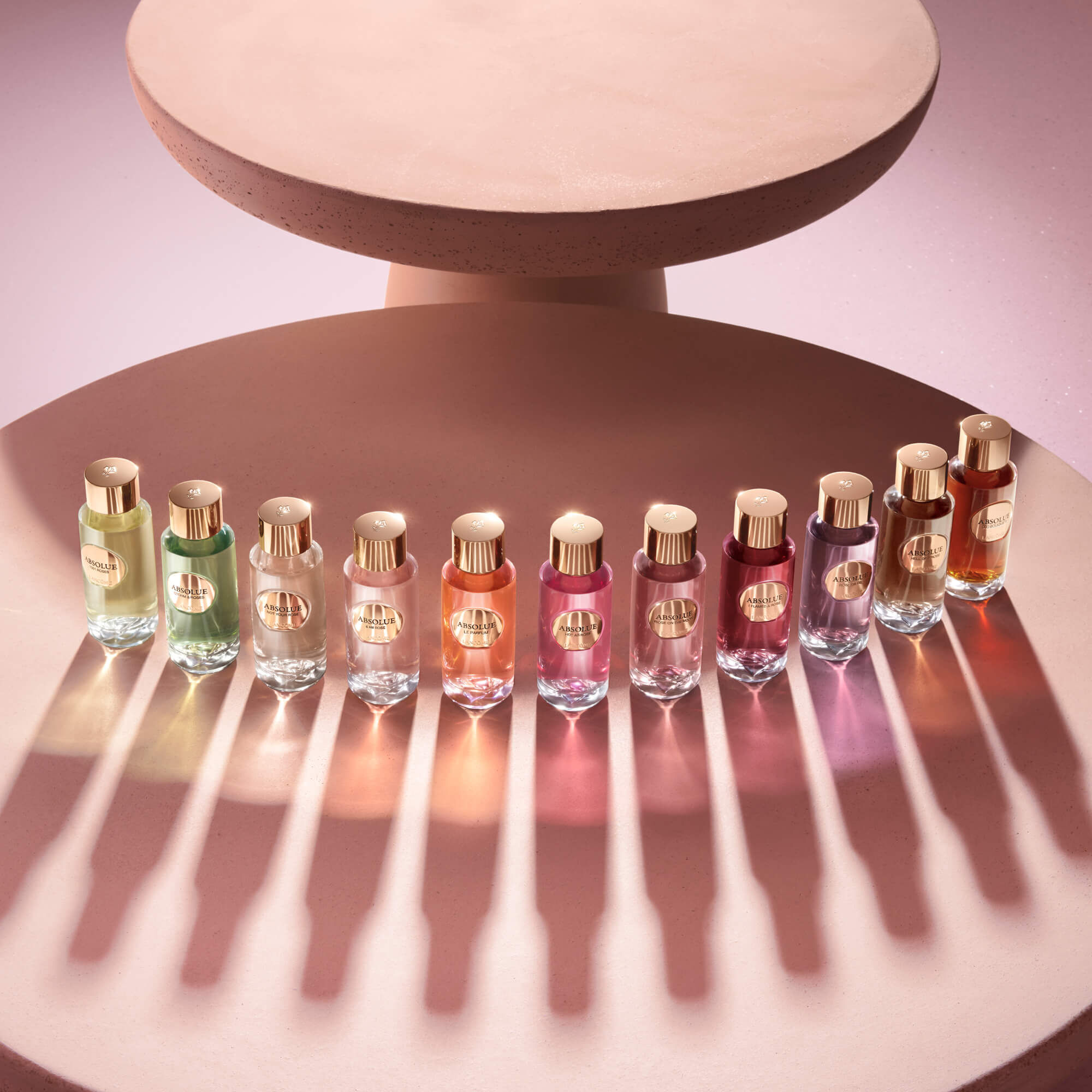 ABSOLUE STORM & ROSES