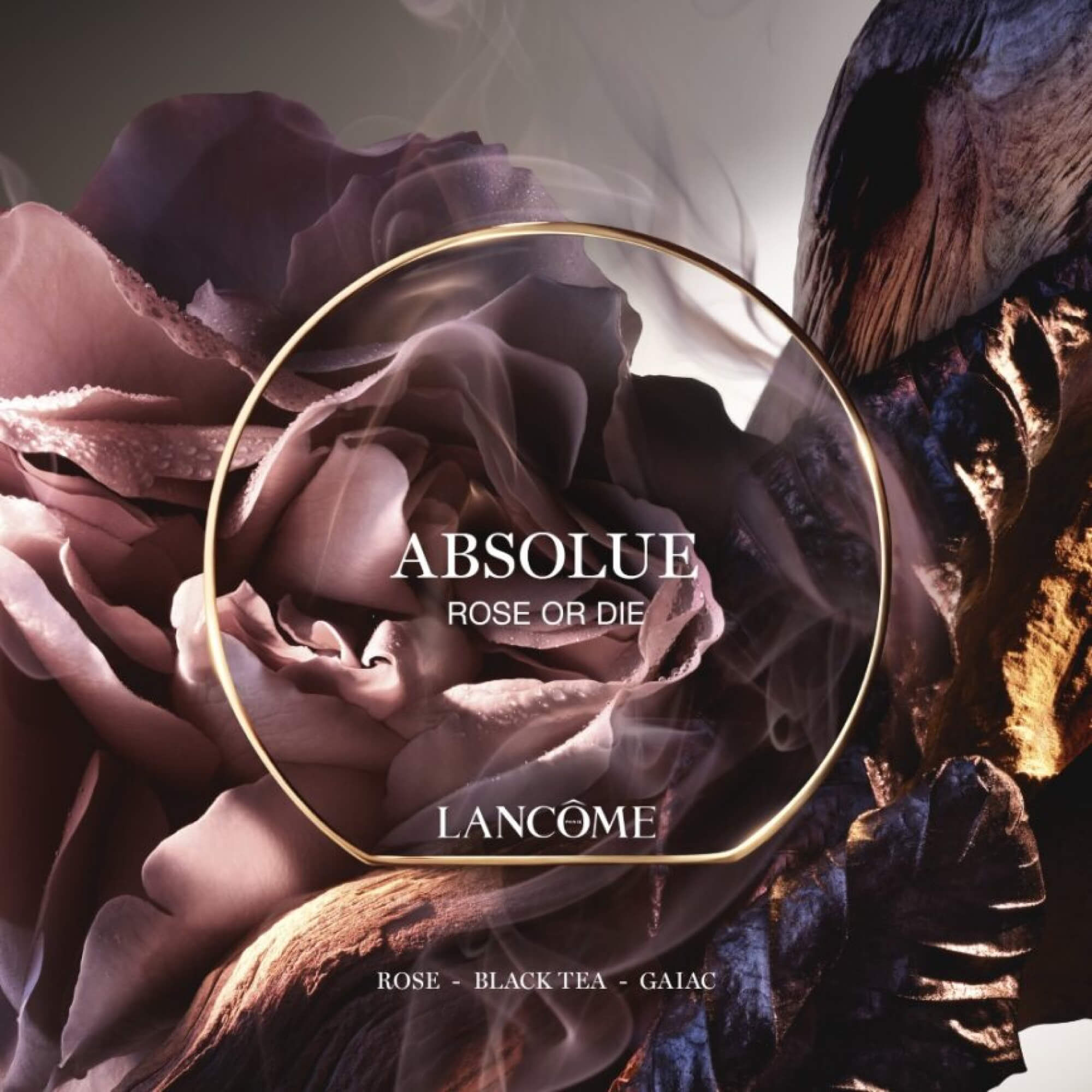 ABSOLUE ROSE OR DIE