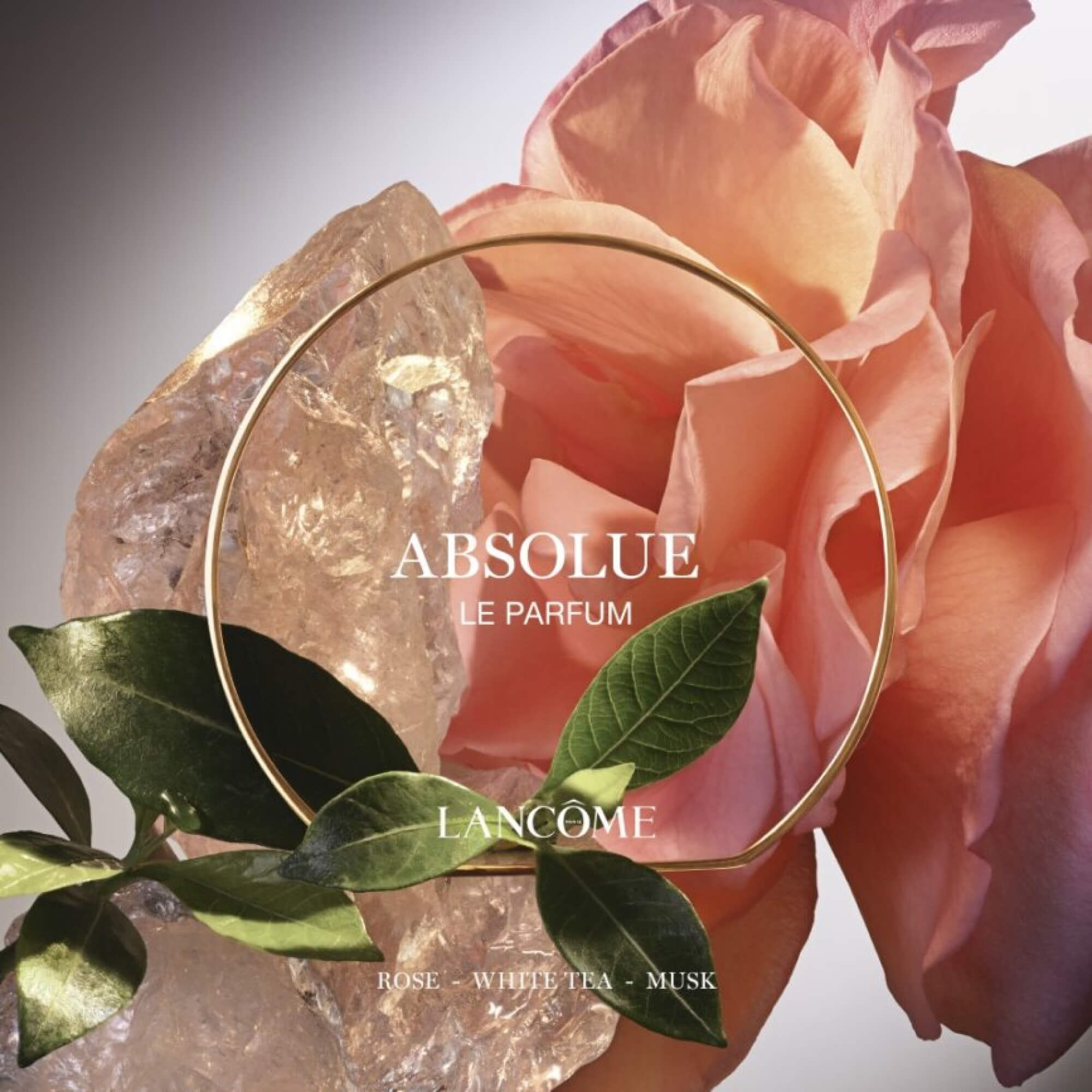 ABSOLUE LE PARFUM