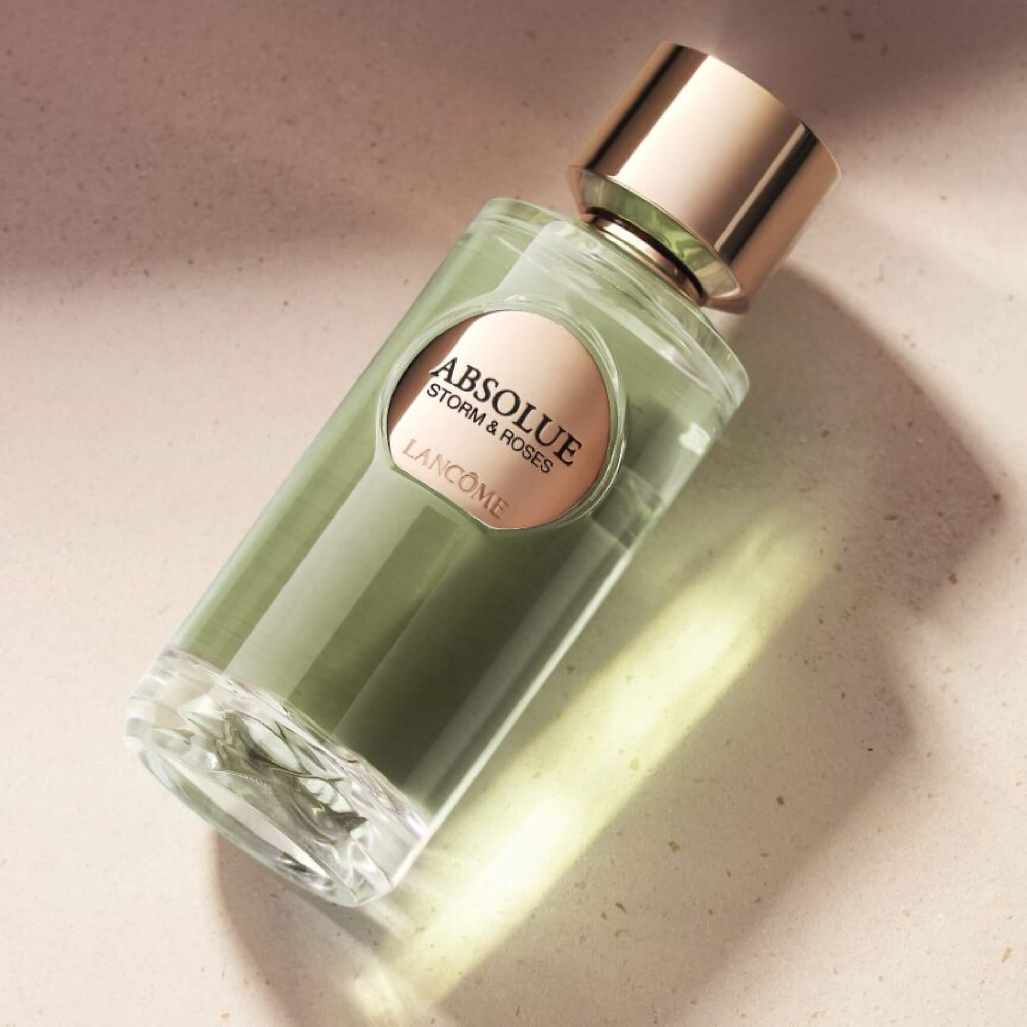 ABSOLUE STORM & ROSES