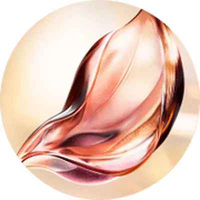 OZEL VE PATENTLİ ABSOLUE PERPETUAL ROSE™ MOLEKULER FRAKSİYONLARI