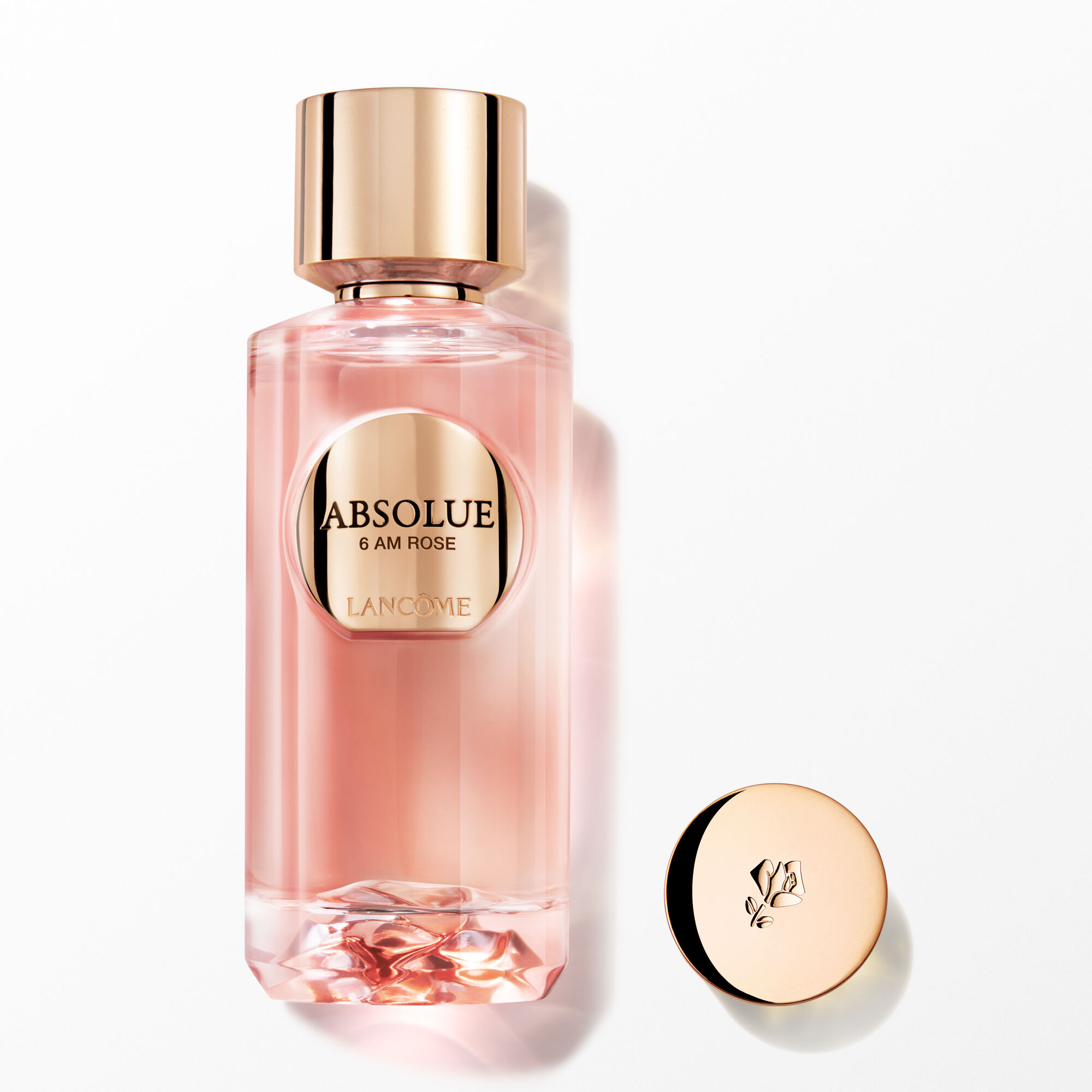 ABSOLUE 6AM ROSE
