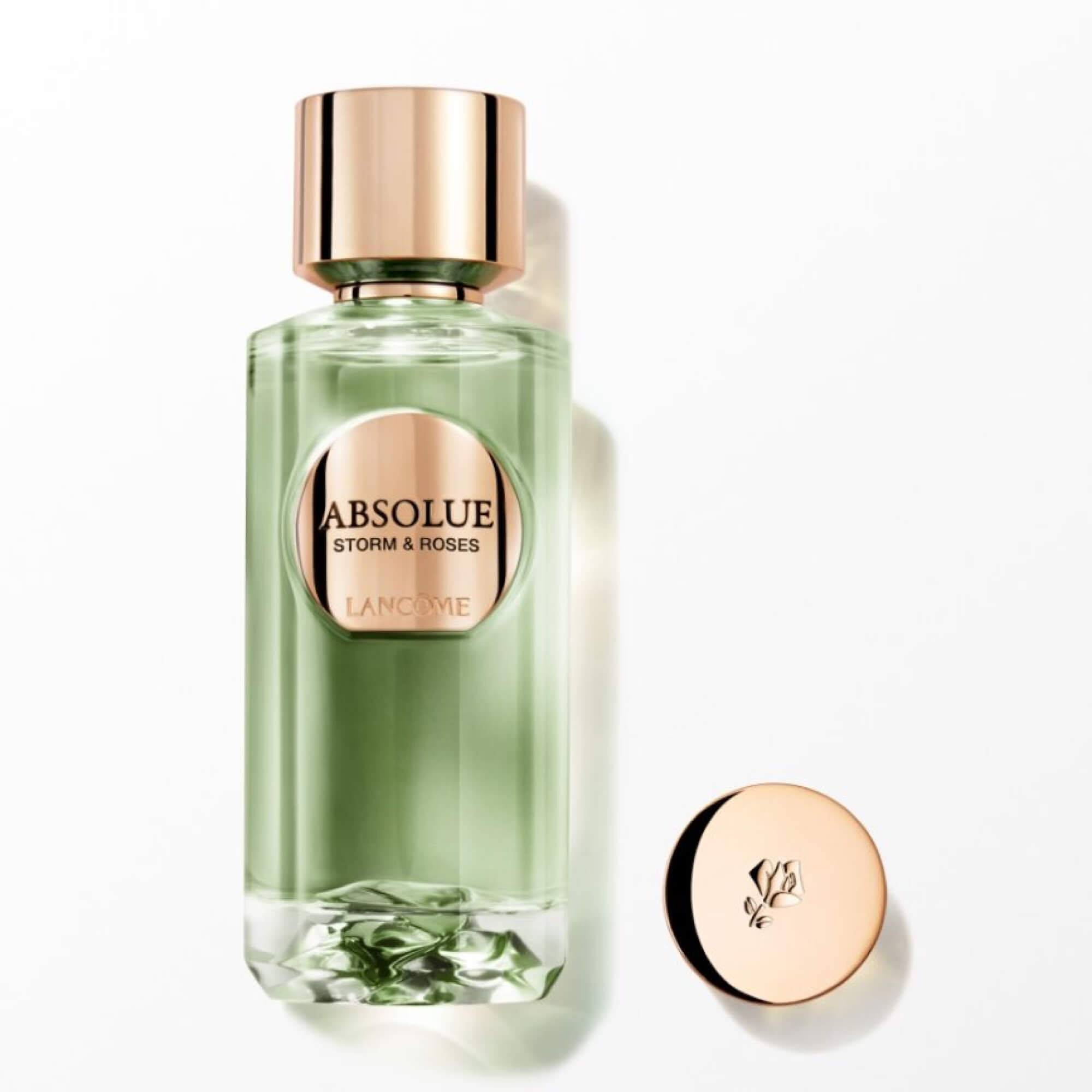 ABSOLUE STORM & ROSES