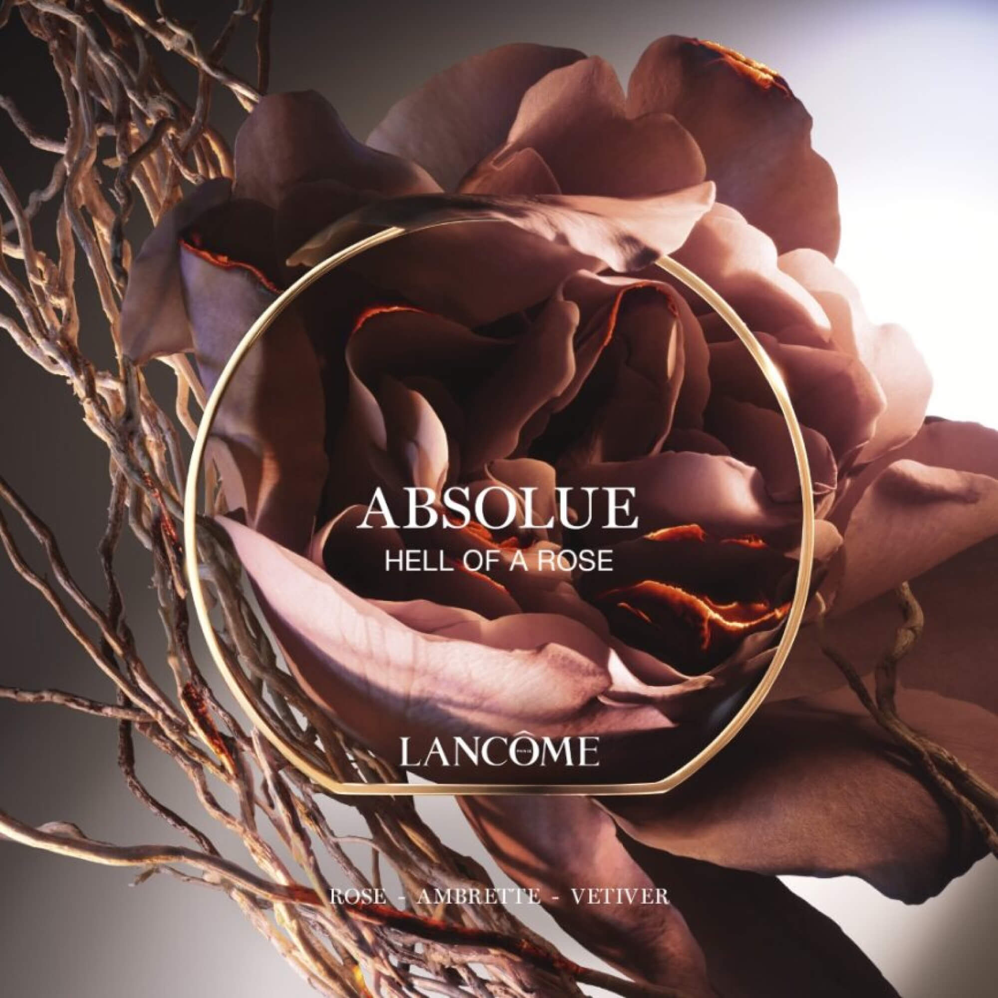 ABSOLUE HELL OF A ROSE