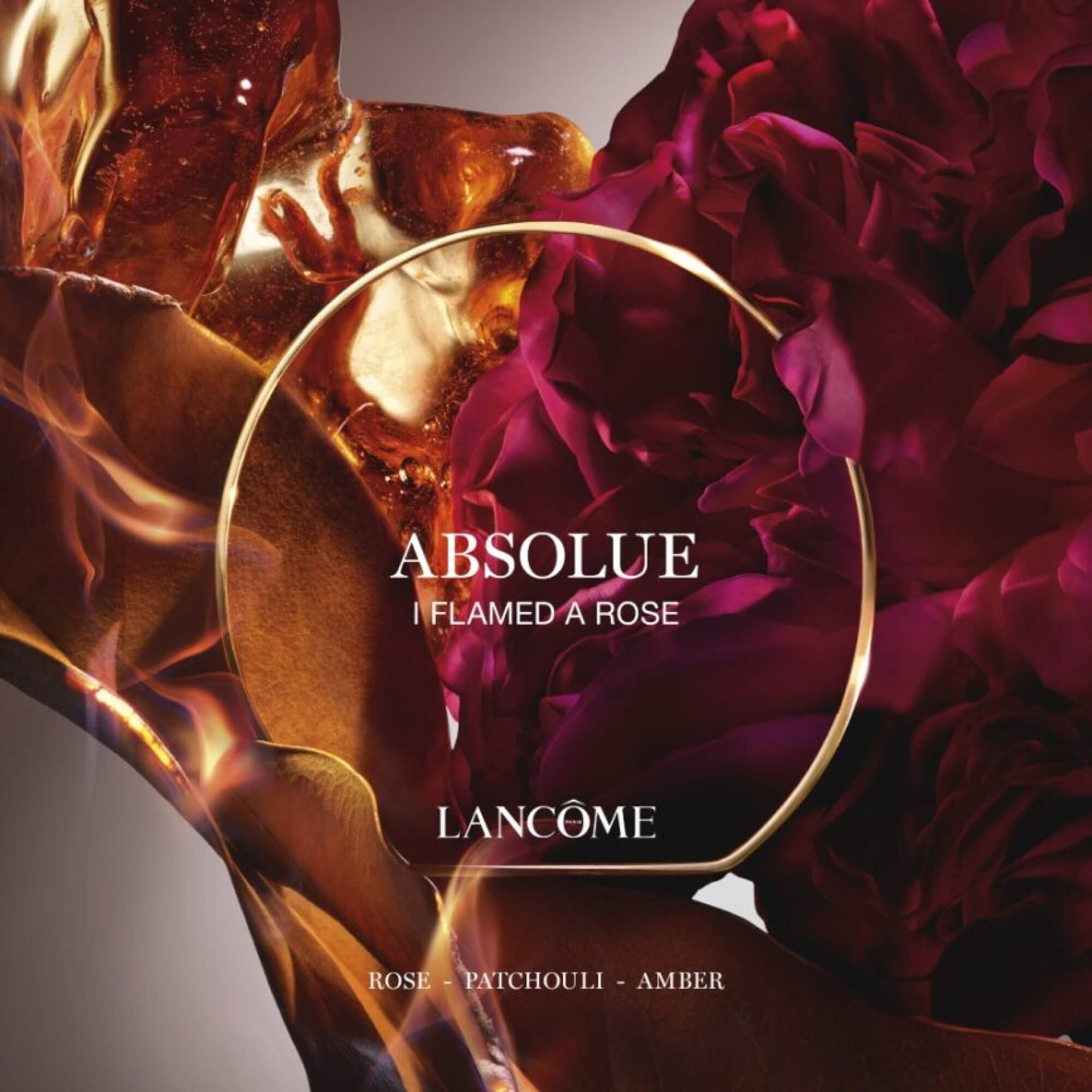 ABSOLUE I FLAMED A ROSE