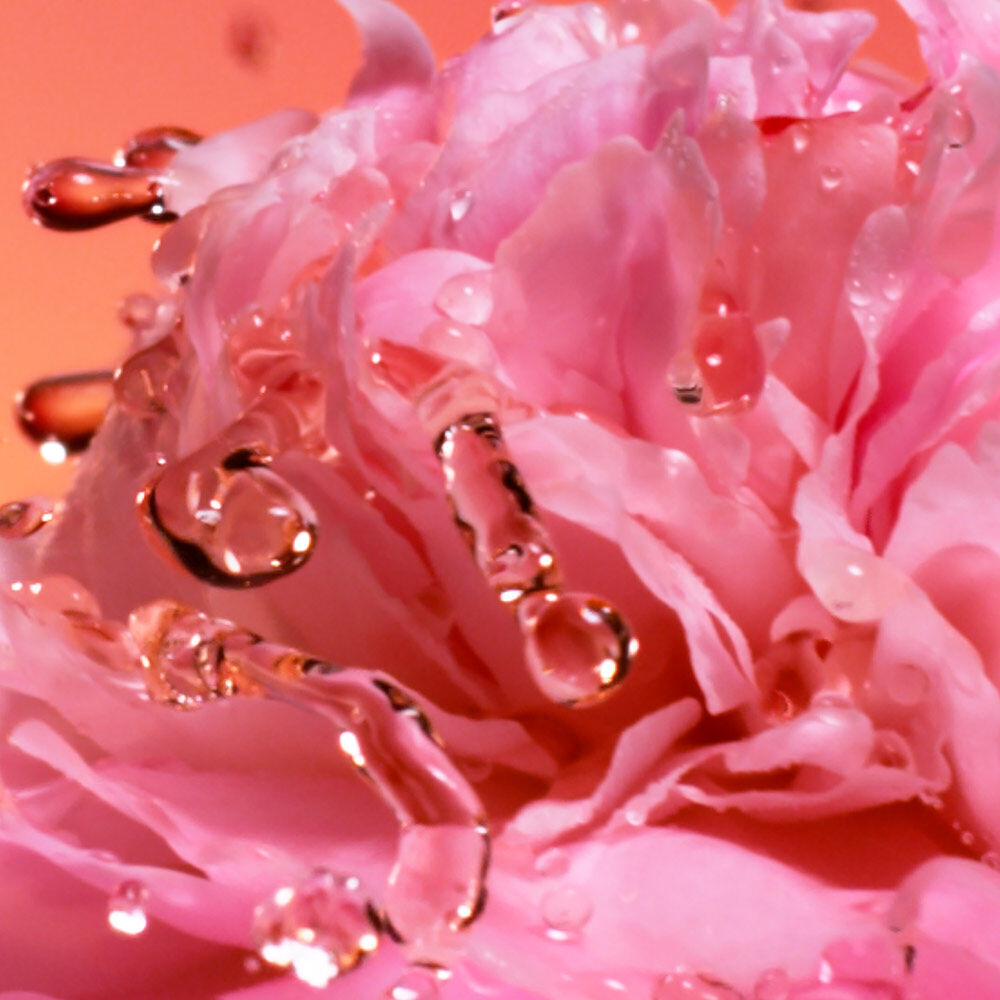 Pink flower petals with water droplets.