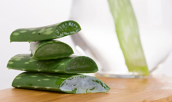 Aloe Veranın Cilt Bakımındaki Yeri