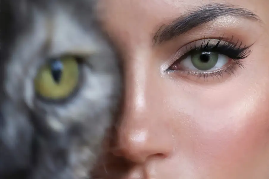Kedi Göz Makyajı